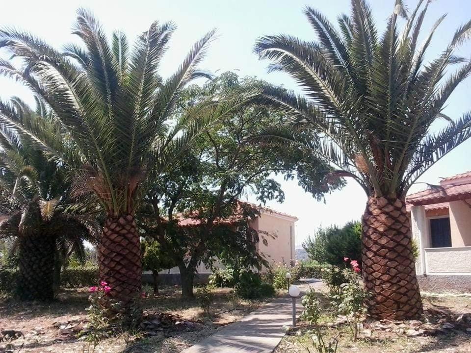 Oasis Studios Скала Калонис Екстериор снимка